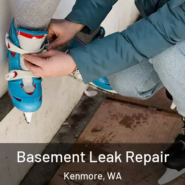  Basement Leak Repair Kenmore, WA