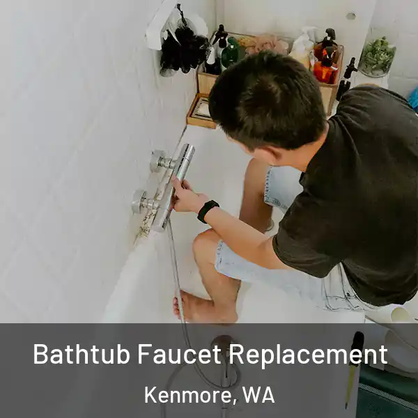  Bathtub Faucet Replacement Kenmore, WA