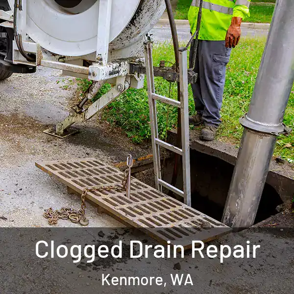  Clogged Drain Repair Kenmore, WA