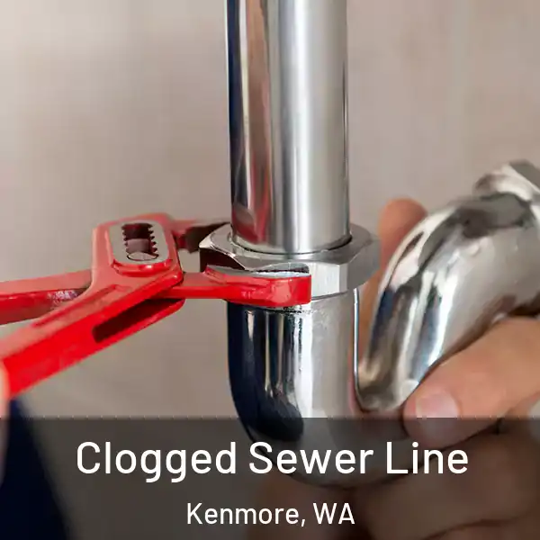  Clogged Sewer Line Kenmore, WA