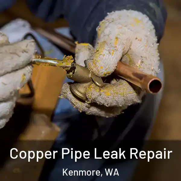  Copper Pipe Leak Repair Kenmore, WA