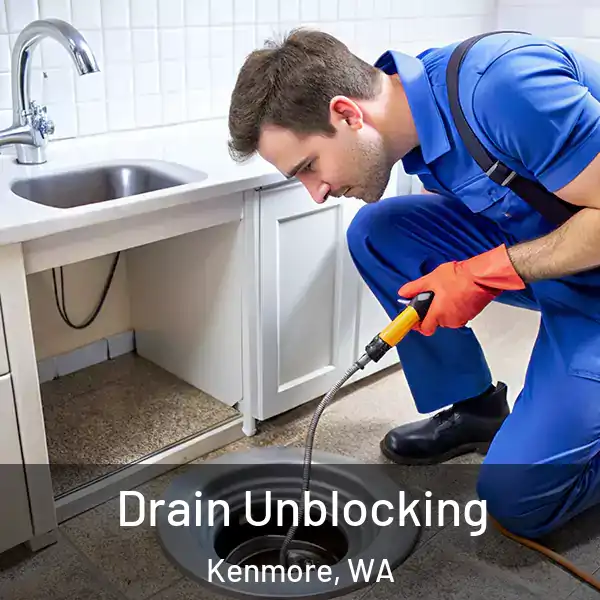  Drain Unblocking Kenmore, WA