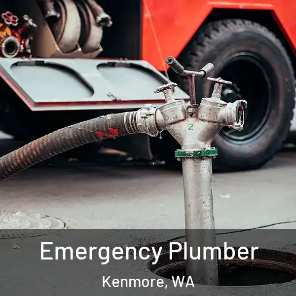  Emergency Plumber Kenmore, WA
