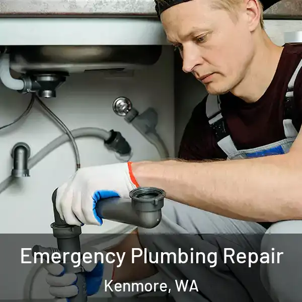  Emergency Plumbing Repair Kenmore, WA