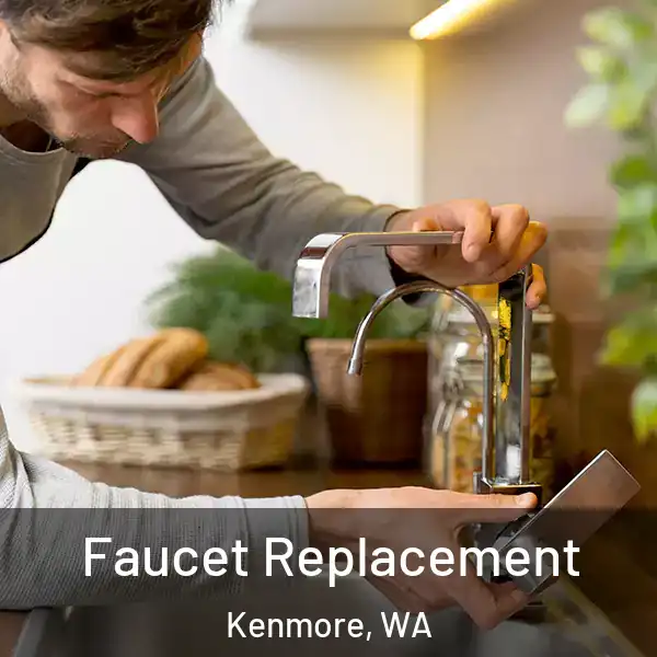  Faucet Replacement Kenmore, WA