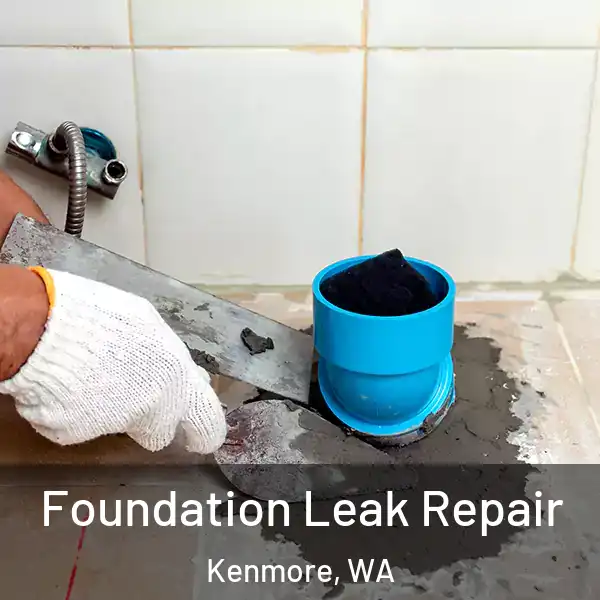  Foundation Leak Repair Kenmore, WA