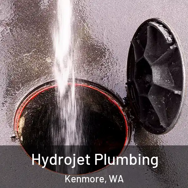  Hydrojet Plumbing Kenmore, WA