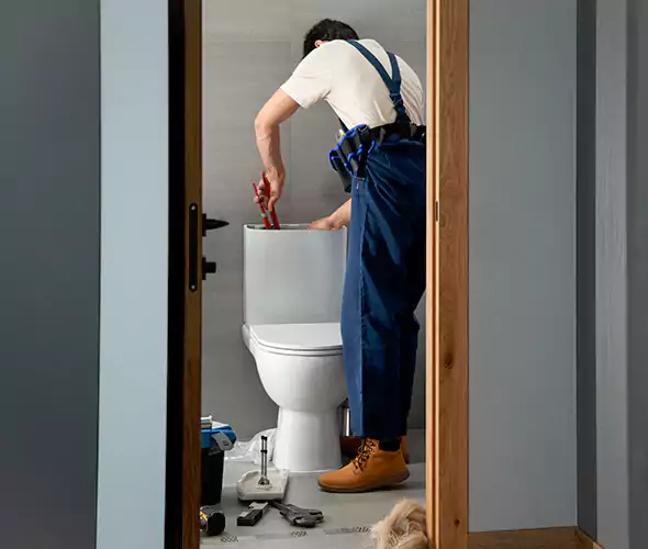 Professional Plumbers for Toilet Bowl Replacement in Kenmore, WA: Schedule Affordable Toilet Replacement Services With Us