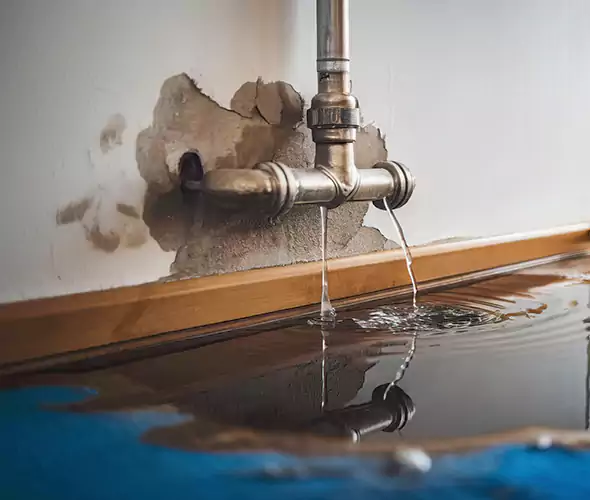 Professional Water Damage Restoration Experts in Kenmore, WA — Fast, Reliable & Certified