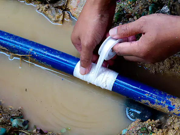  Why Choose Fox Plumbing Kenmore for Leak Detection in Kenmore, WA?]