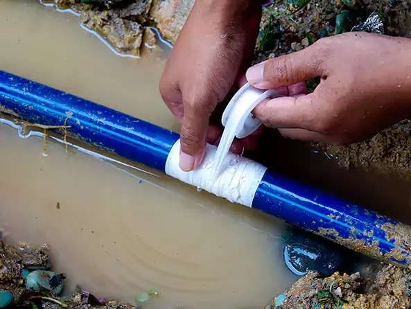  Why Choose Fox Plumbing Kenmore for Water Line Repair in Kenmore, WA?]