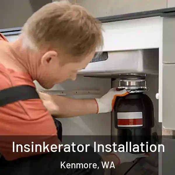  Insinkerator Installation Kenmore, WA