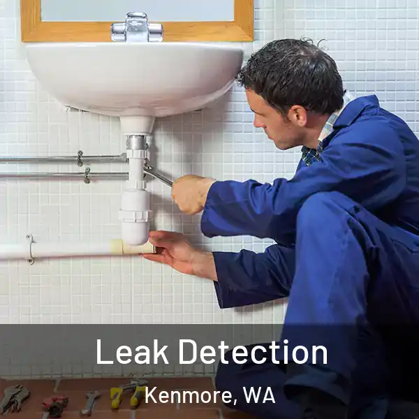  Leak Detection Kenmore, WA