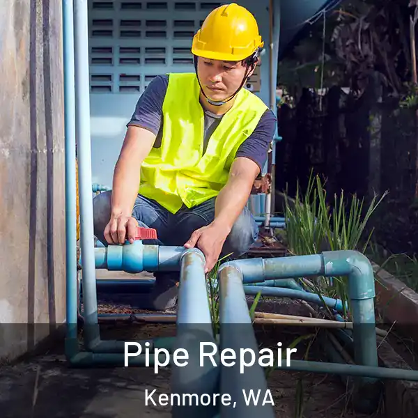  Pipe Repair Kenmore, WA
