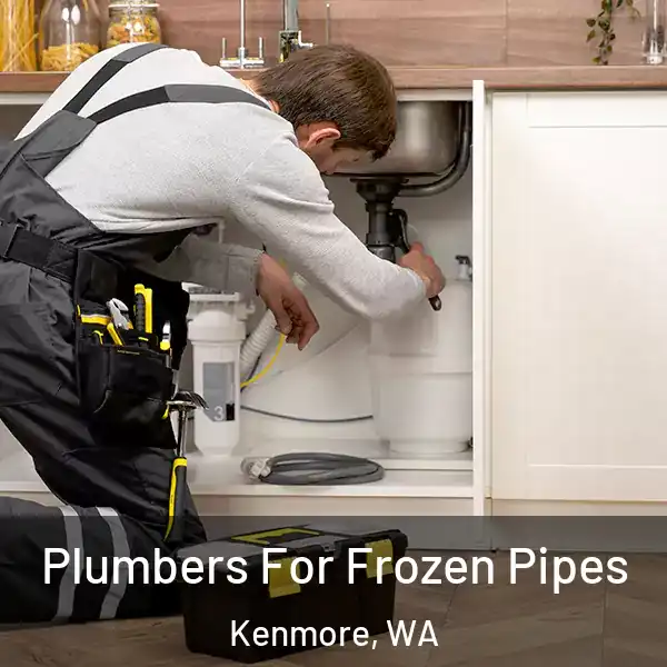  Plumbers For Frozen Pipes Kenmore, WA