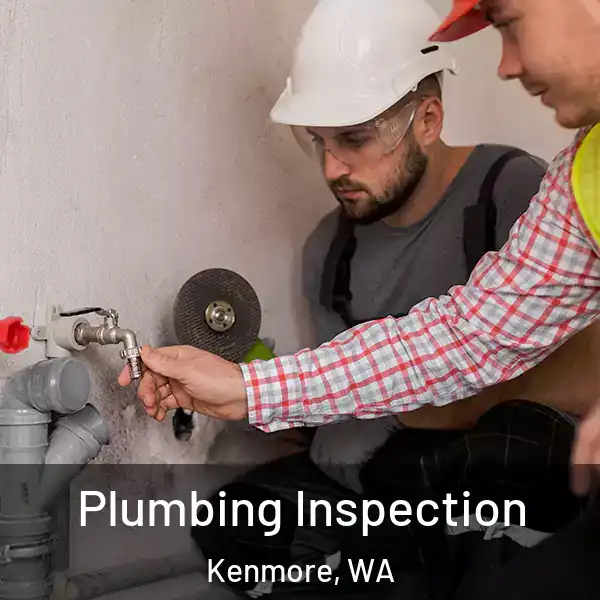  Plumbing Inspection Kenmore, WA