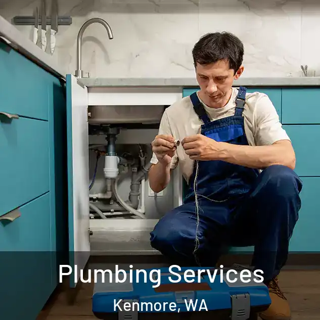  Plumbing Services Kenmore, WA