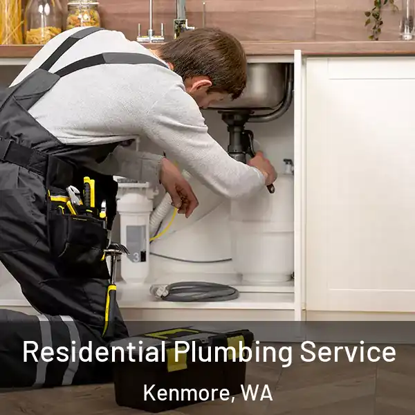 Residential Plumbing Service Kenmore, WA