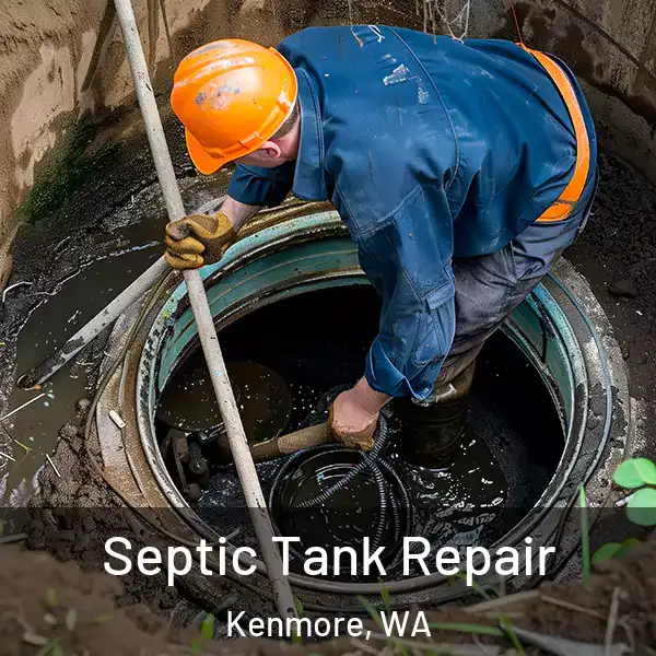  Septic Tank Repair Kenmore, WA
