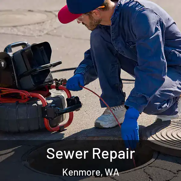  Sewer Repair Kenmore, WA