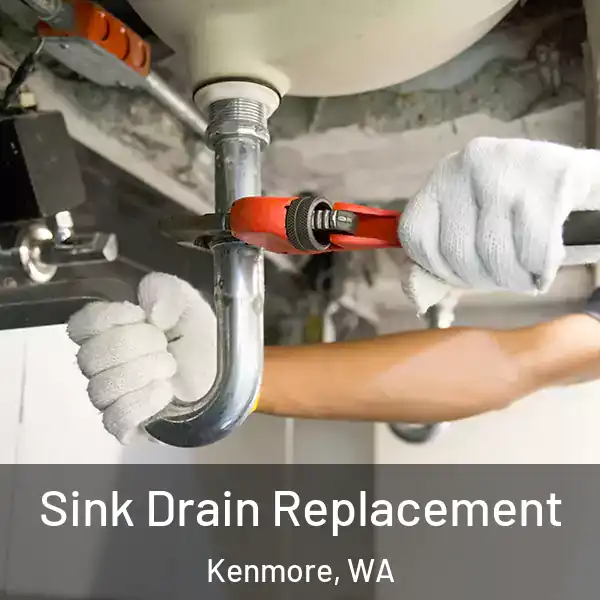  Sink Drain Replacement Kenmore, WA