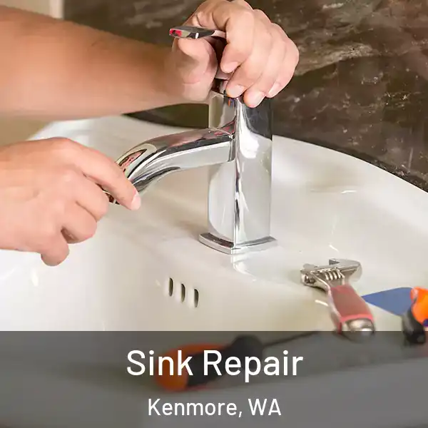  Sink Repair Kenmore, WA