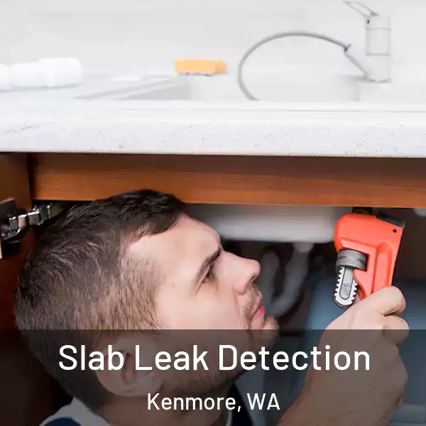  Slab Leak Detection Kenmore, WA