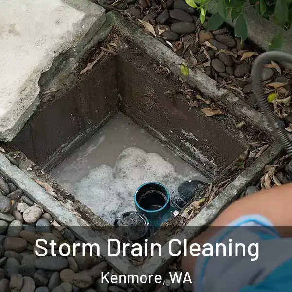  Storm Drain Cleaning Kenmore, WA