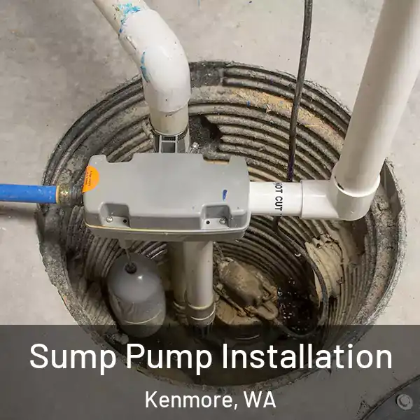  Sump Pump Installation Kenmore, WA