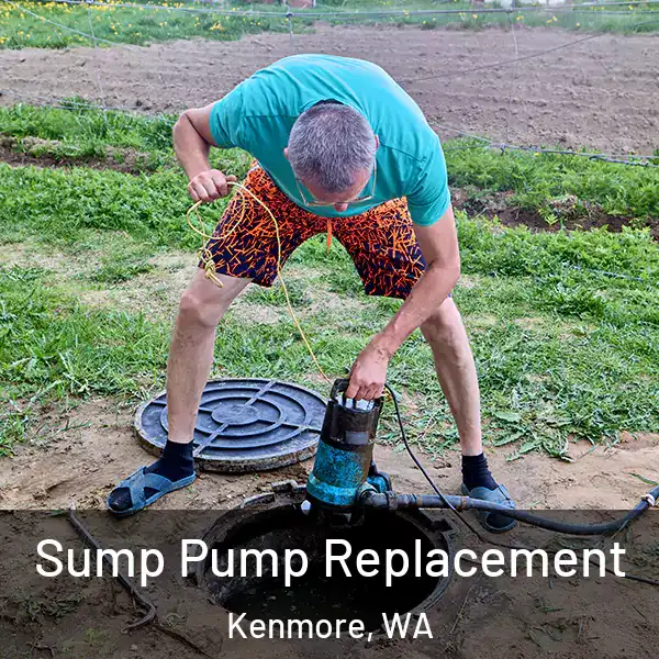  Sump Pump Replacement Kenmore, WA