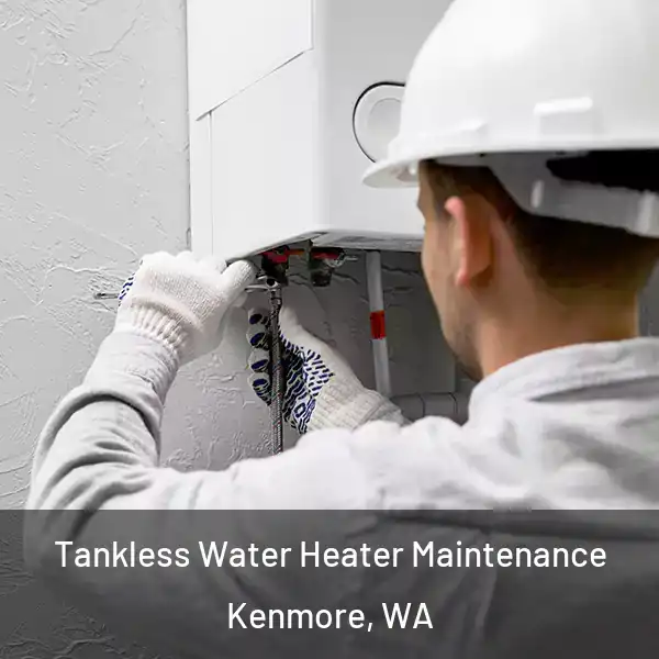  Tankless Water Heater Maintenance Kenmore, WA