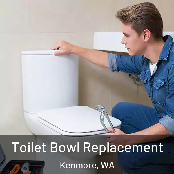 Toilet Bowl Replacement Kenmore, WA