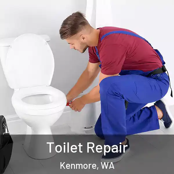  Toilet Repair Kenmore, WA