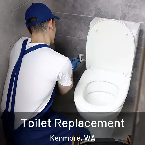  Toilet Replacement Kenmore, WA