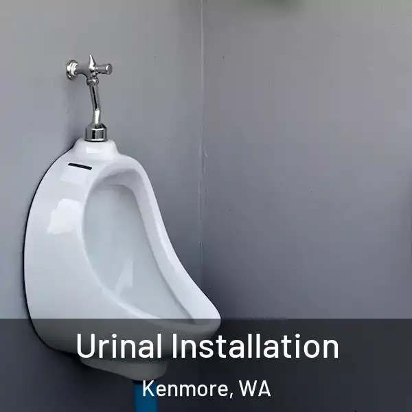  Urinal Installation Kenmore, WA