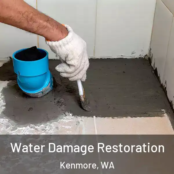  Water Damage Restoration Kenmore, WA