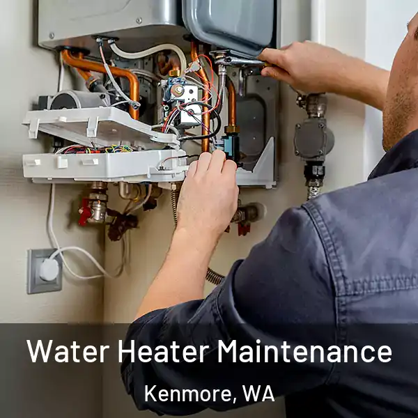  Water Heater Maintenance Kenmore, WA