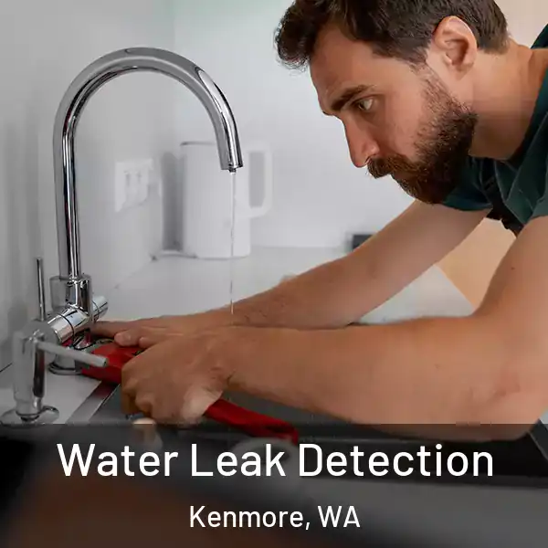  Water Leak Detection Kenmore, WA