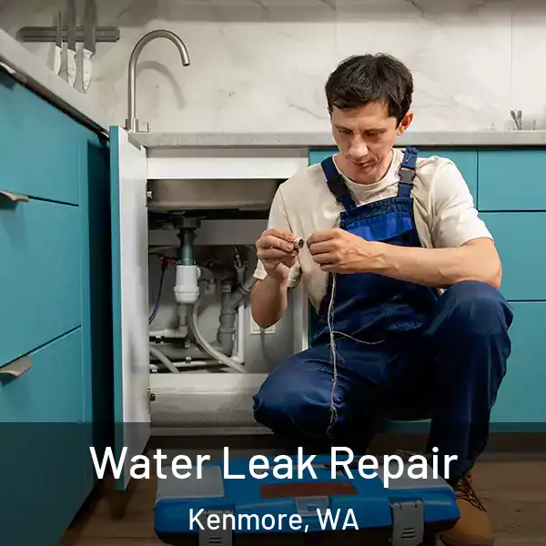  Water Leak Repair Kenmore, WA