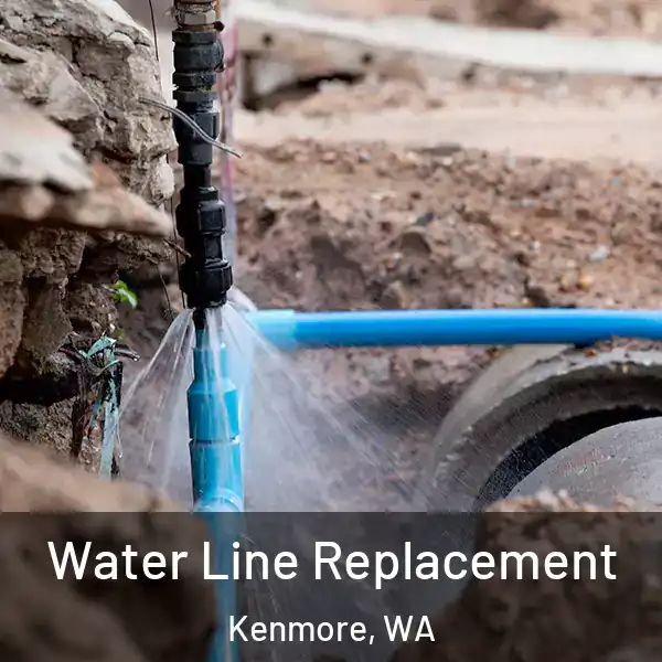  Water Line Replacement Kenmore, WA