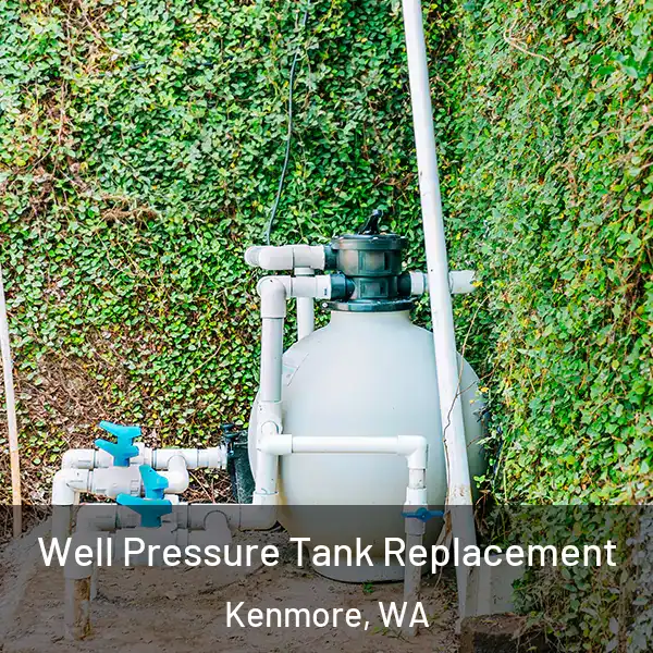  Well Pressure Tank Replacement Kenmore, WA