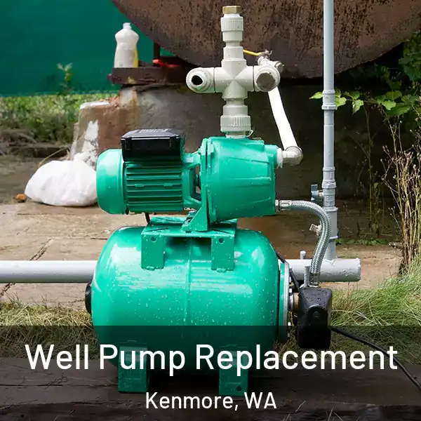  Well Pump Replacement Kenmore, WA